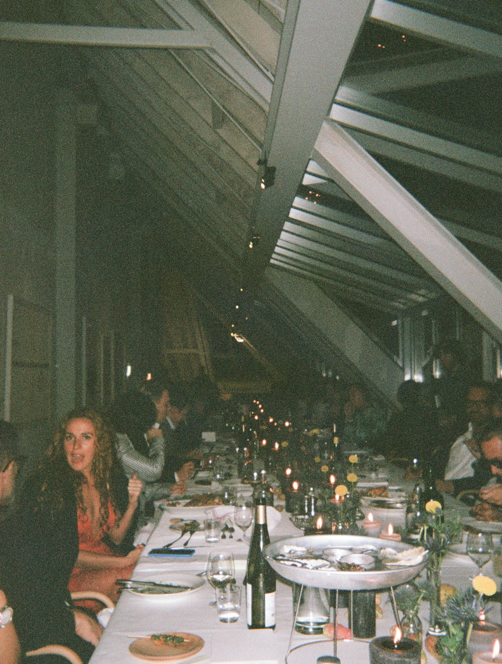 Preview Dinner