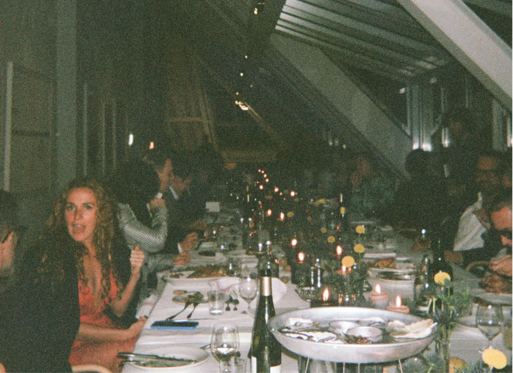 Preview Dinner